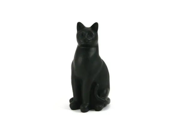 Cat: elite - Image 3