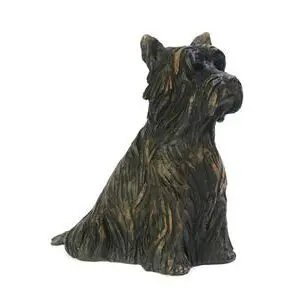 Cast: Yorkshire Terrier