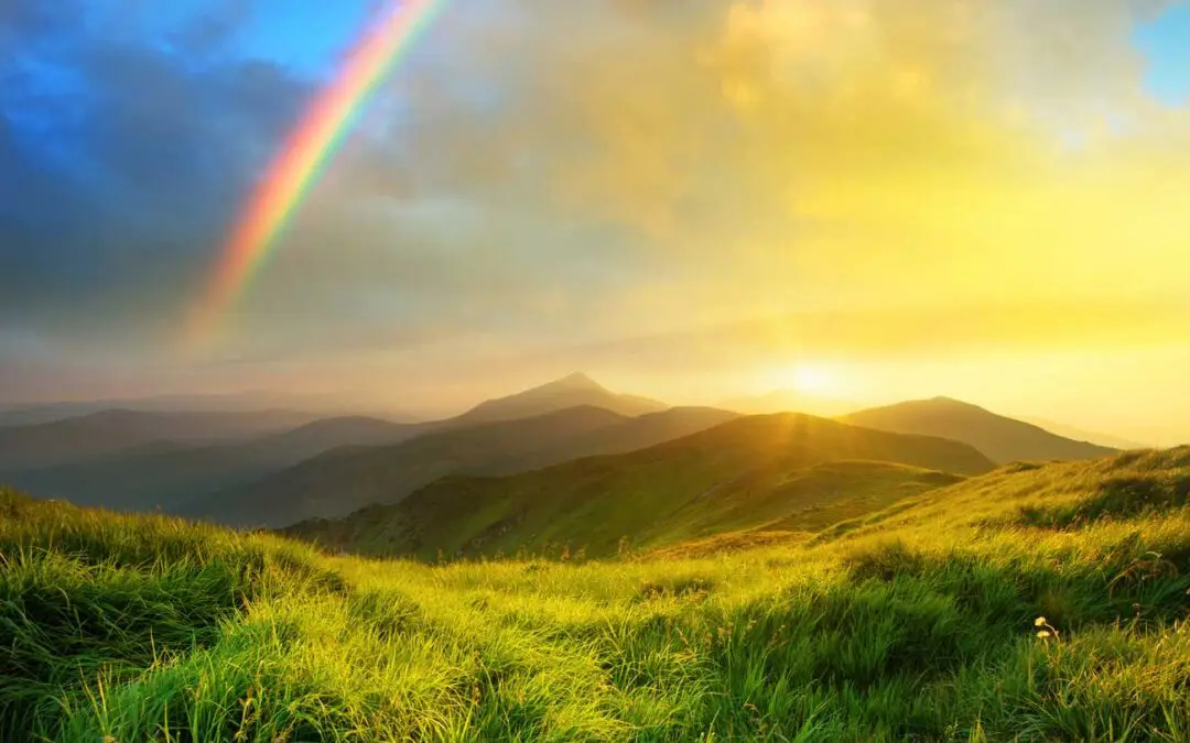 When Is the Right Time to Get a New Pet?