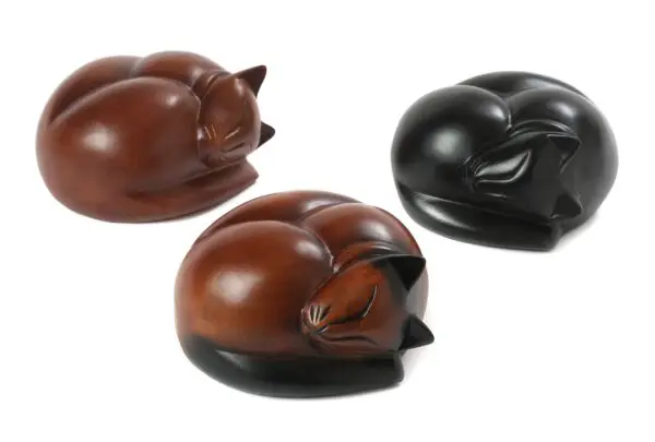 Cat: Sleeping