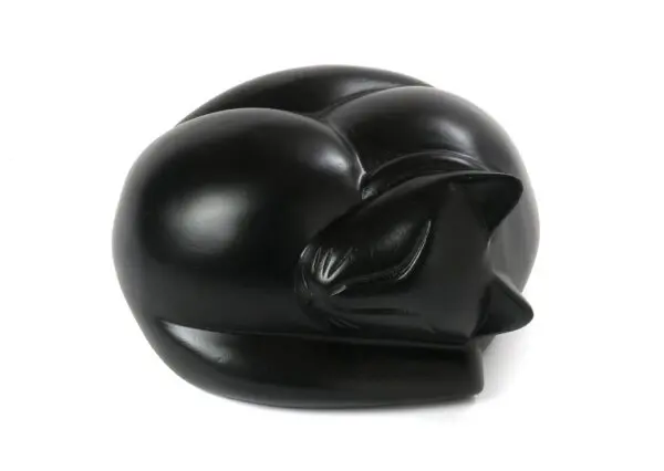 Cat: Sleeping - Image 4