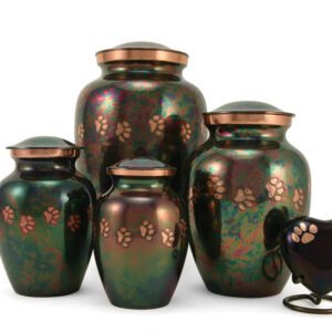 Traditional: Classic Paws