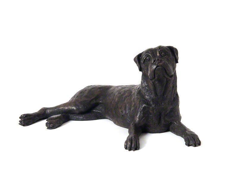 Cast: Boxer - Image 2