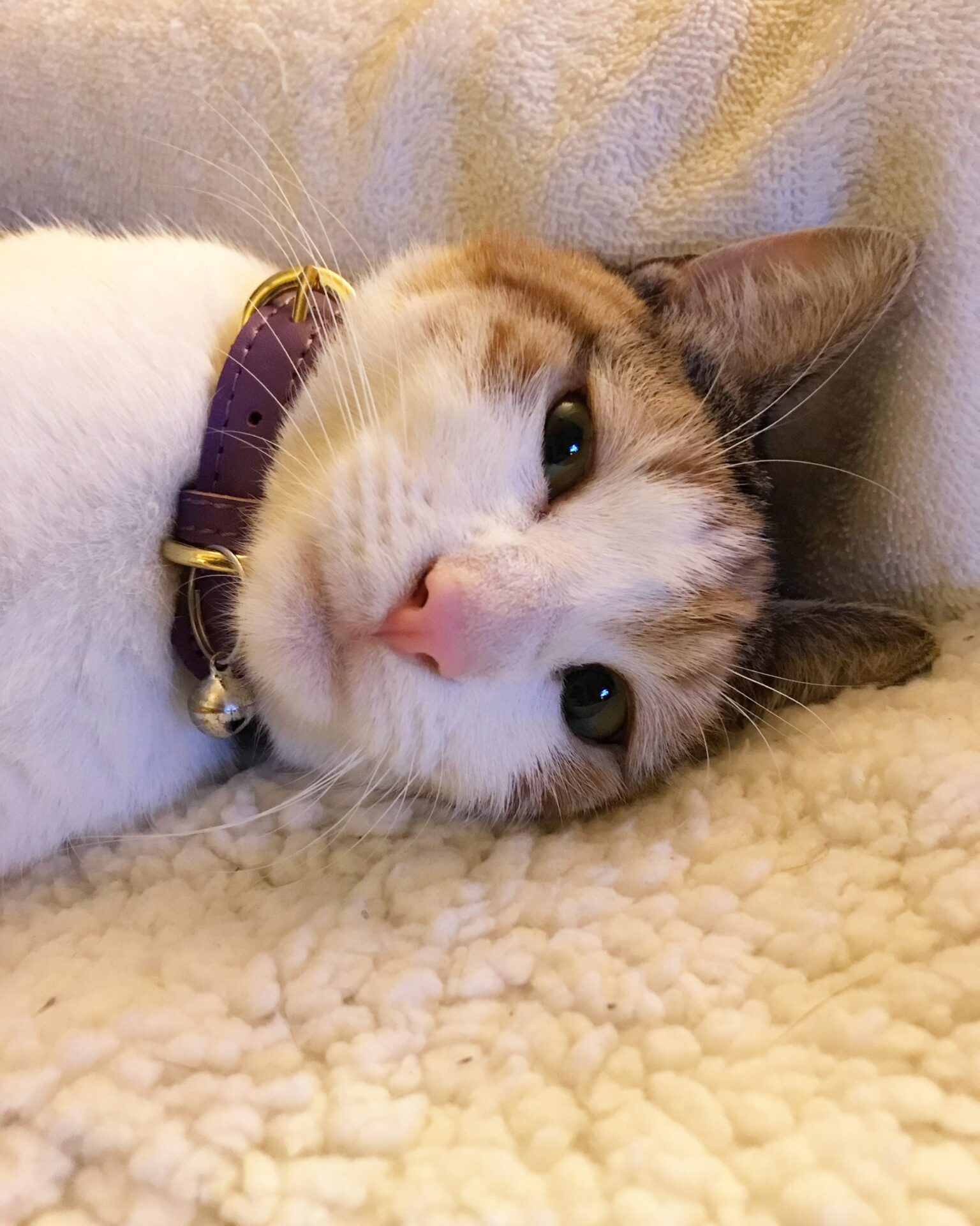 552342BE-FA9C-4854-BCF4-51ACC2F79633