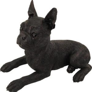 Cast: Boston Terrier