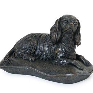 Cast: Cavalier King Charles