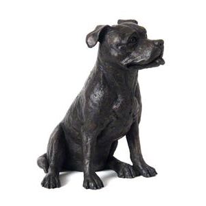 Cast: Stafford Bull Terrier