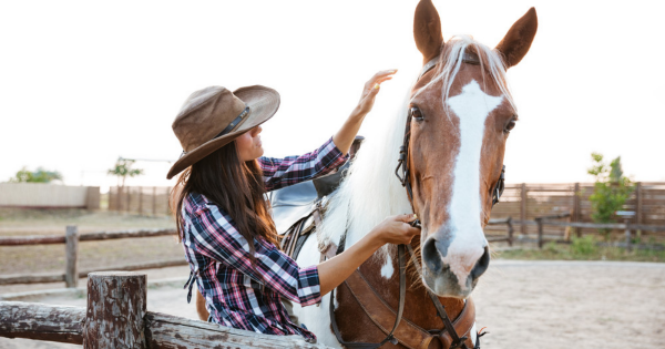 equine cremation