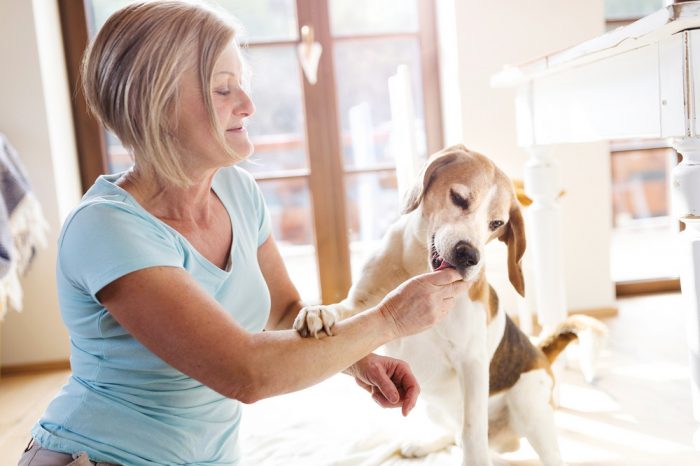 what-is-the-difference-between-individual-and-communal-pet-cremation