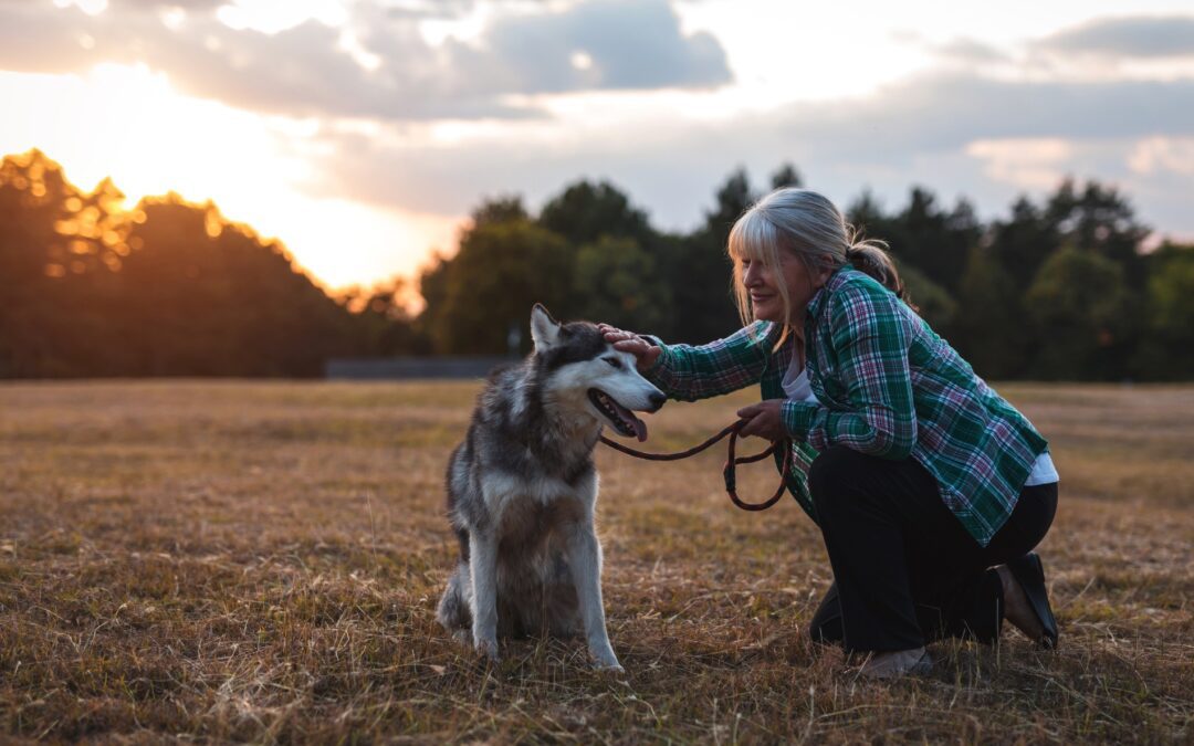 The Comfort in Pet Memorial Services