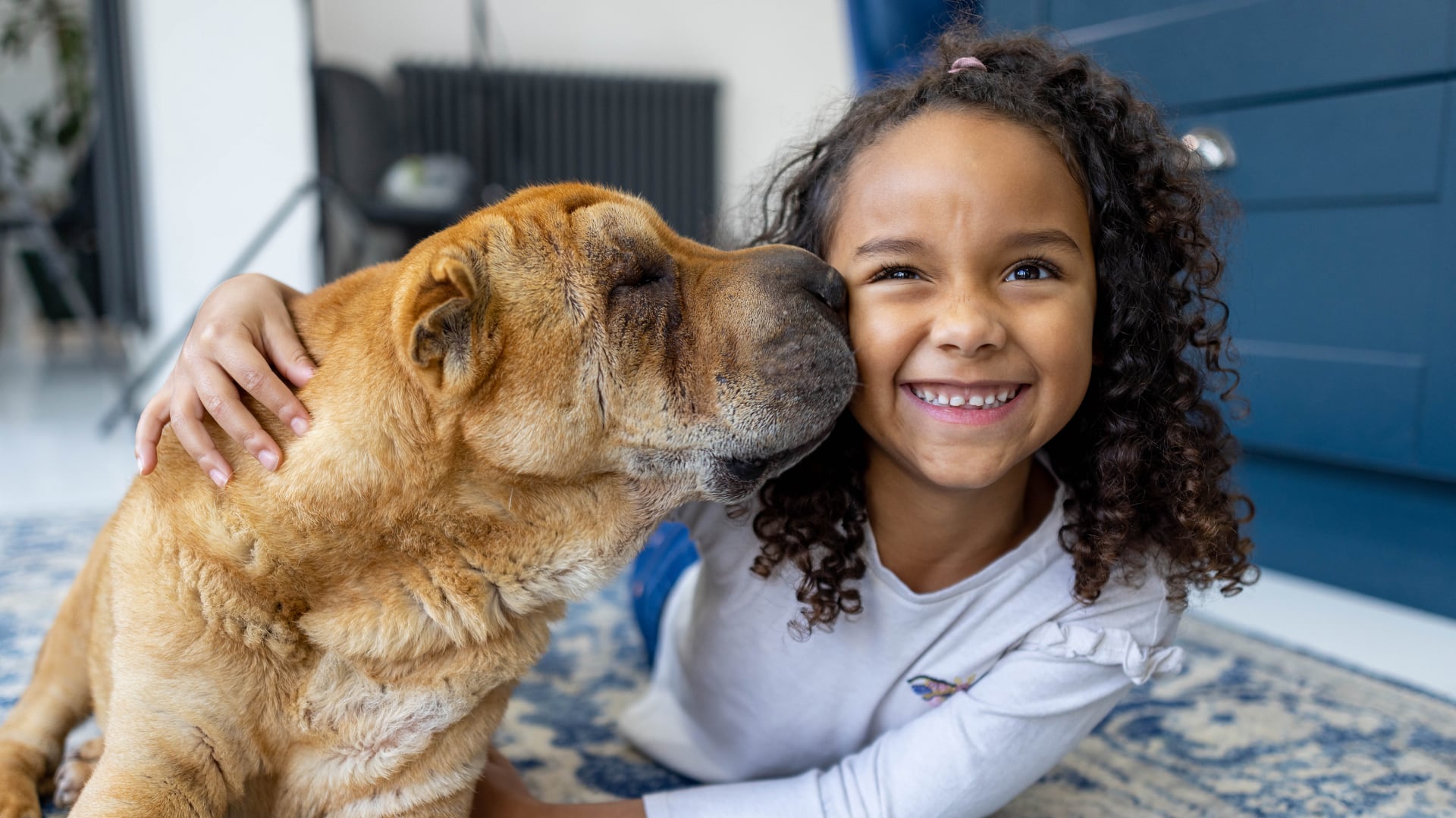 Little girl and her older dog