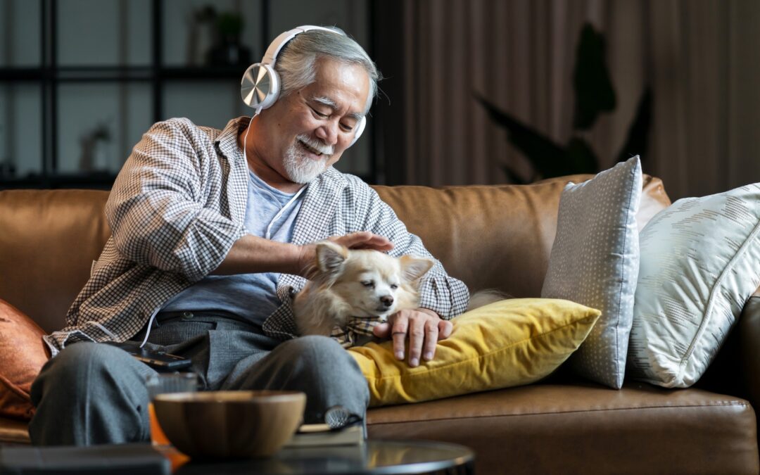 How to Care for Your Aging Pet