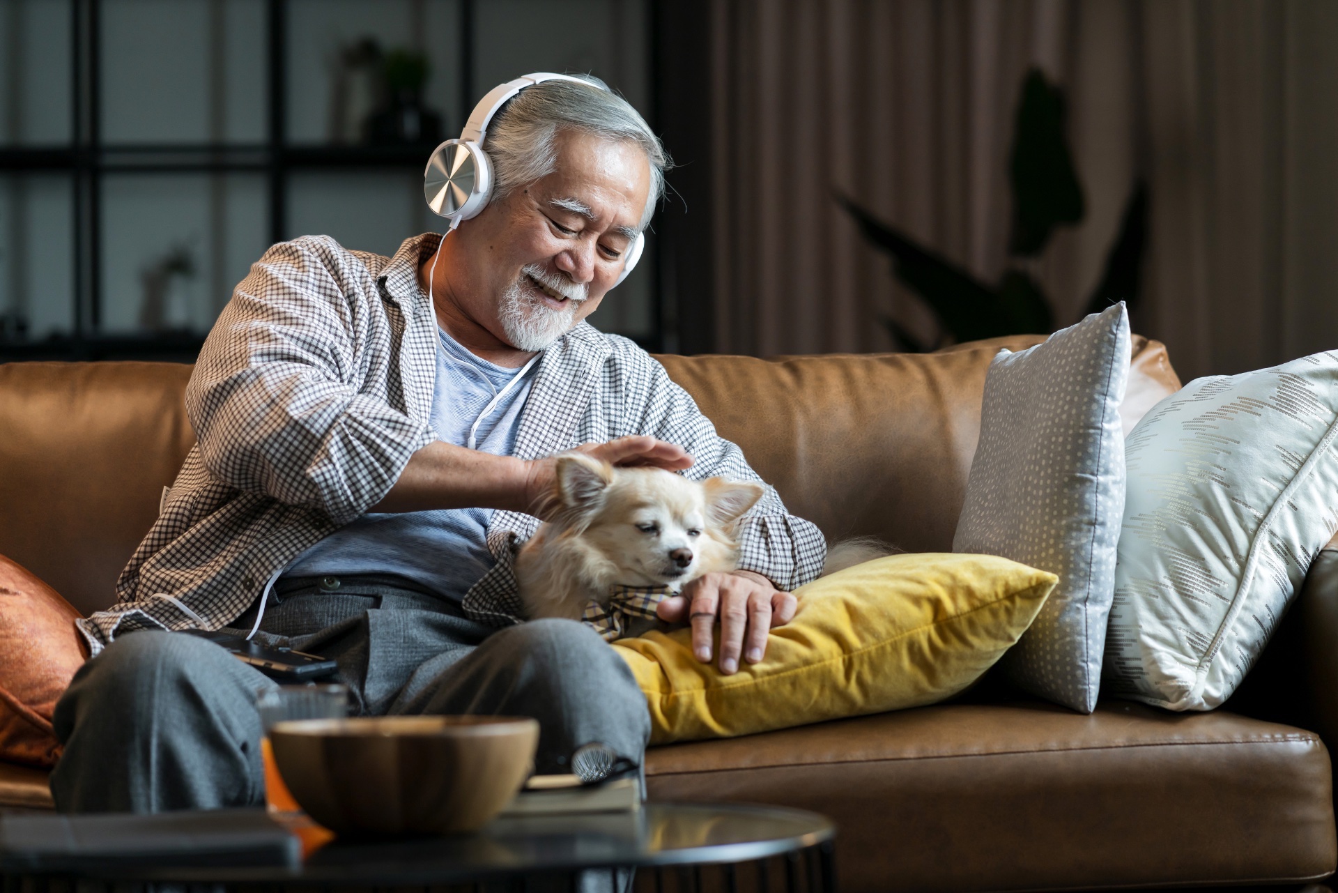 Listening to music with an older dog