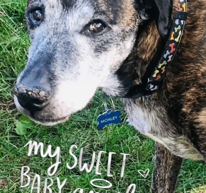 MOXLEY   5/6/2008 – 08/22/2023