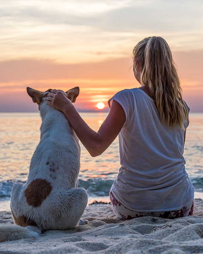 Pet memoriam services in Virginia