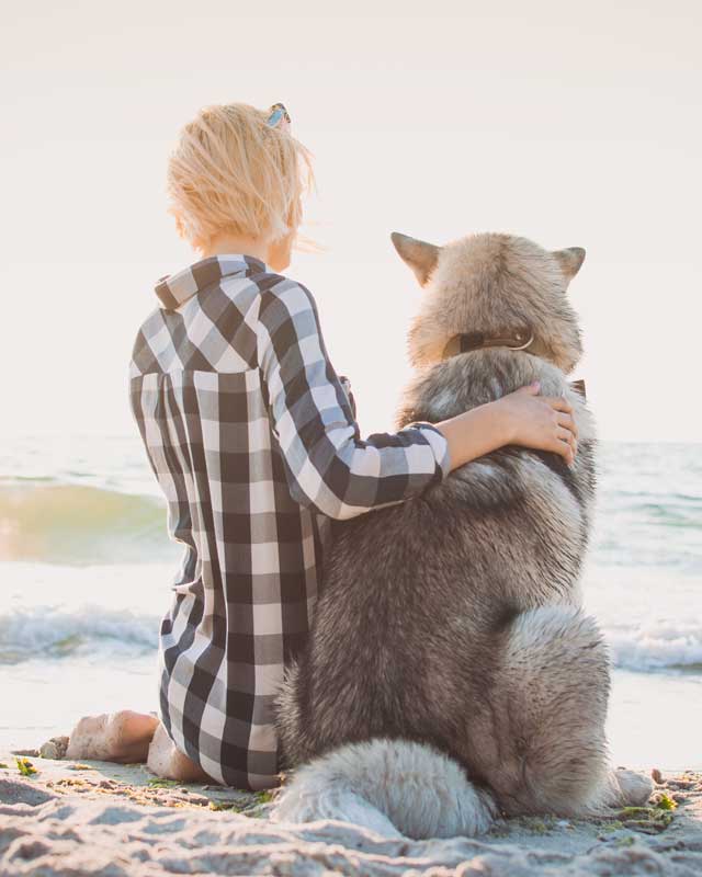 Pet memoriam services in Virginia