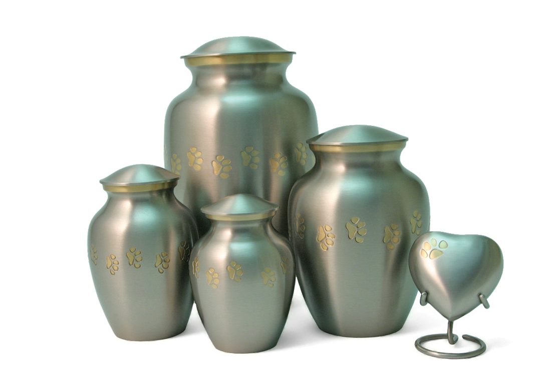 Traditional: Classic Paws - Image 3