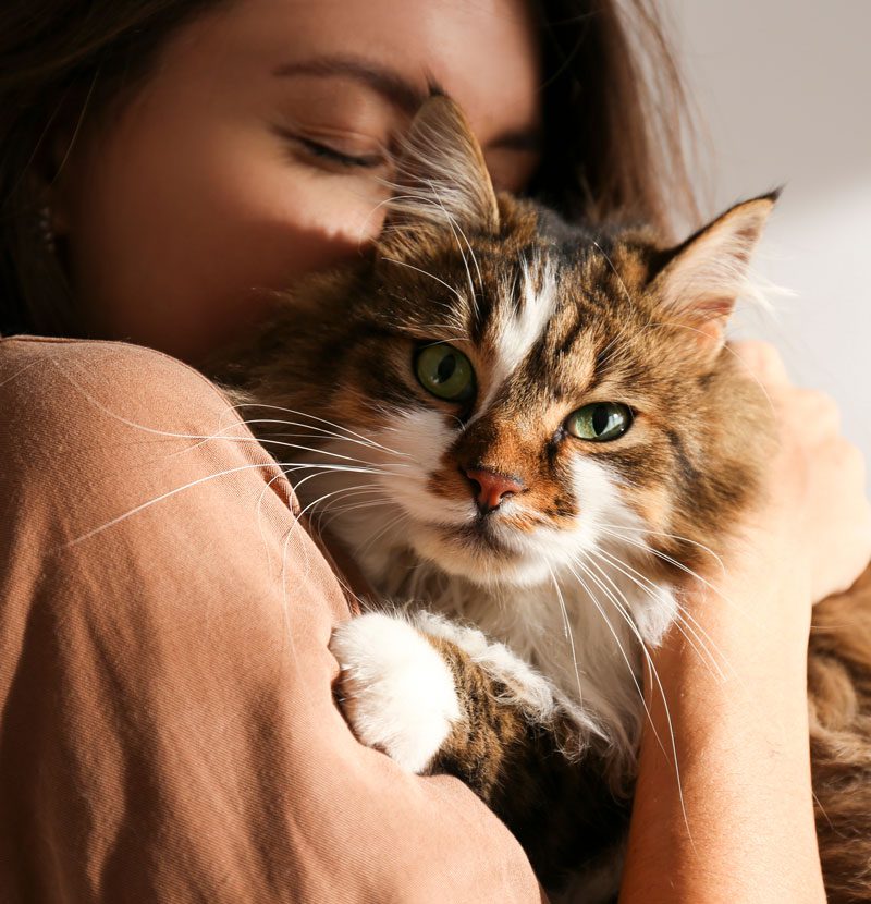 Pet memoriam services in Virginia