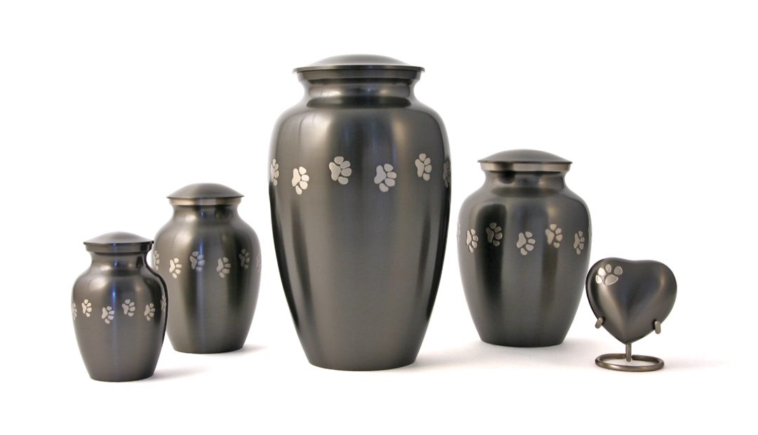 Traditional: Classic Paws - Image 5