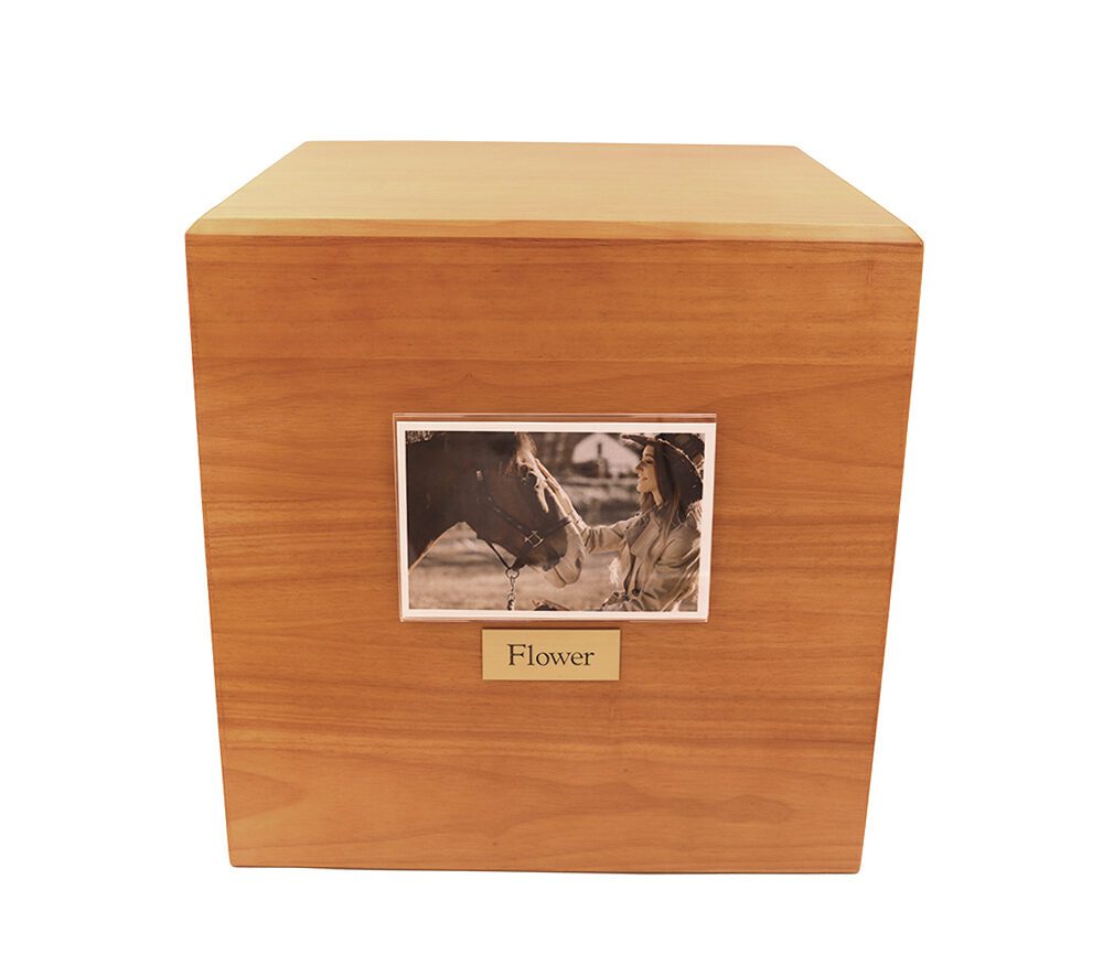 equine: full size - Image 3