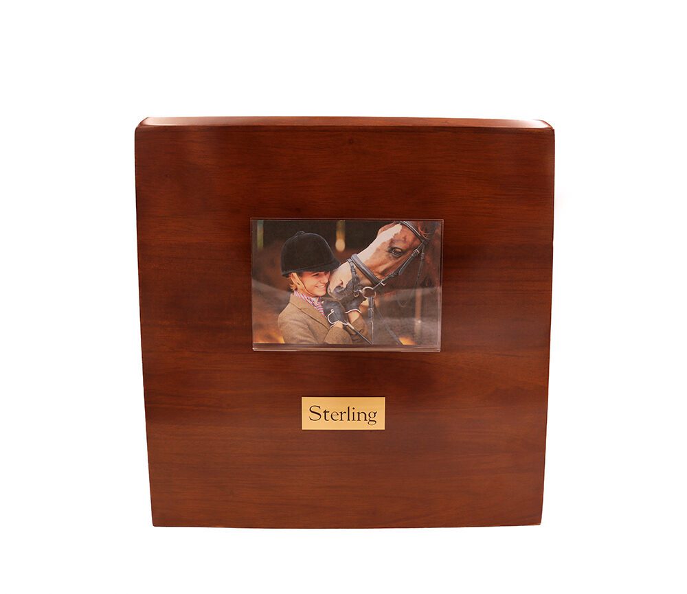 equine: full size - Image 2