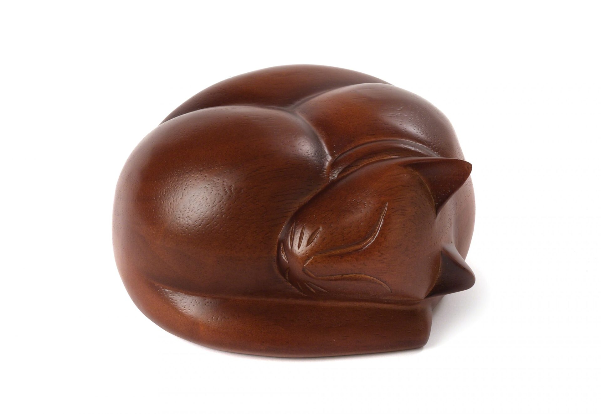 Cat: Sleeping - Image 2