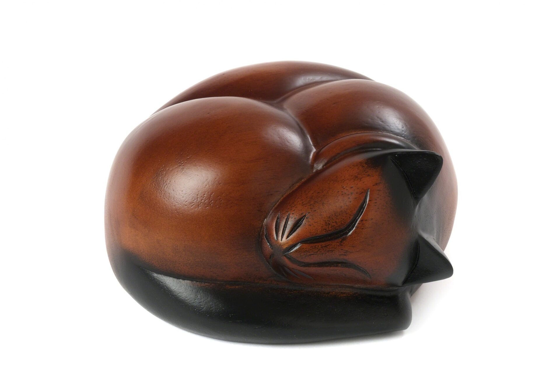 Cat: Sleeping - Image 3